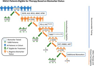 Landscape of Biomarkers in Non-small Cell Lung Cancer Using Comprehensive Genomic Profiling and PD-L1 Immunohistochemistry